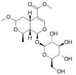 7-O-甲氧基莫诺苷,7-O-Methyl morroniside