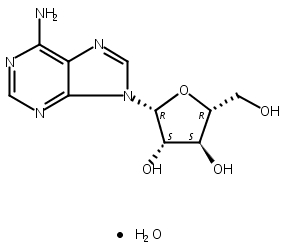 阿糖腺苷 一水物,Vidarabine monohydrate