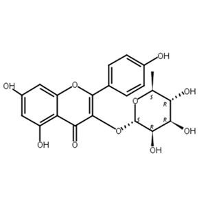 阿福豆苷,Kaempferol 3-o-glucorhamnoside