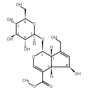 6-beta-羟基栀子苷,Feretoside