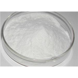 聚腺苷酸钾盐,POLYADENYLIC ACID (5