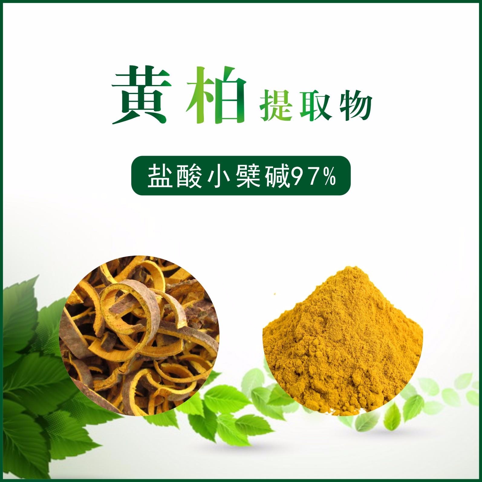 黃柏提取物,Berberine