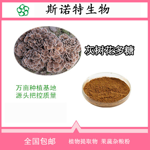 灰树花提取物,Maitake Mushroom Extract