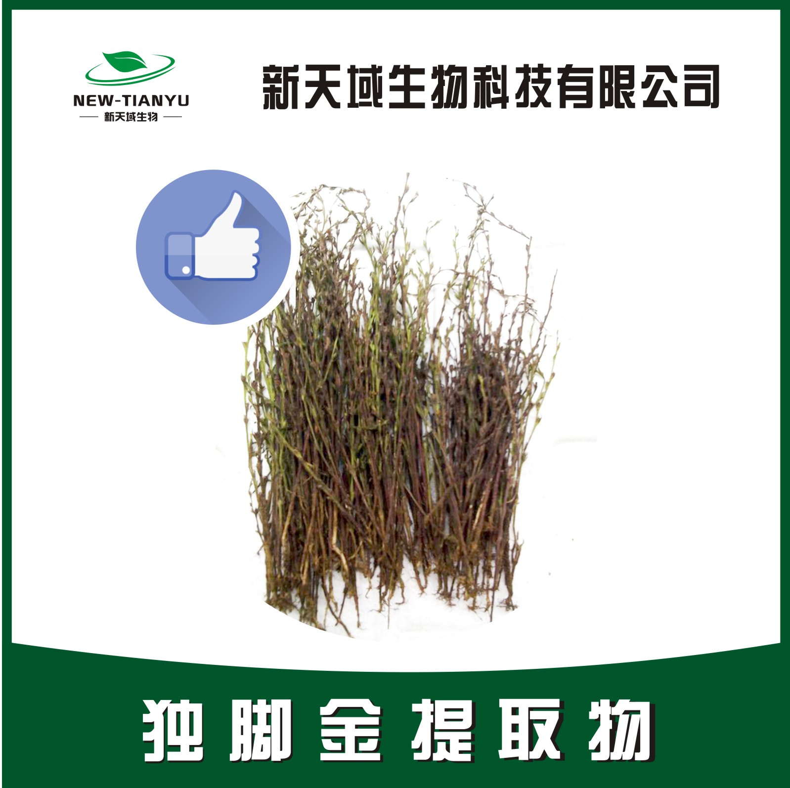 独脚金提取物,Herba Strigae。