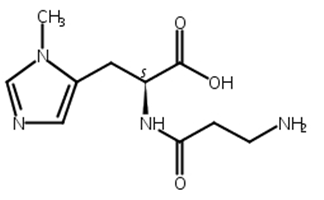 鹅肌肽,L-Anserine