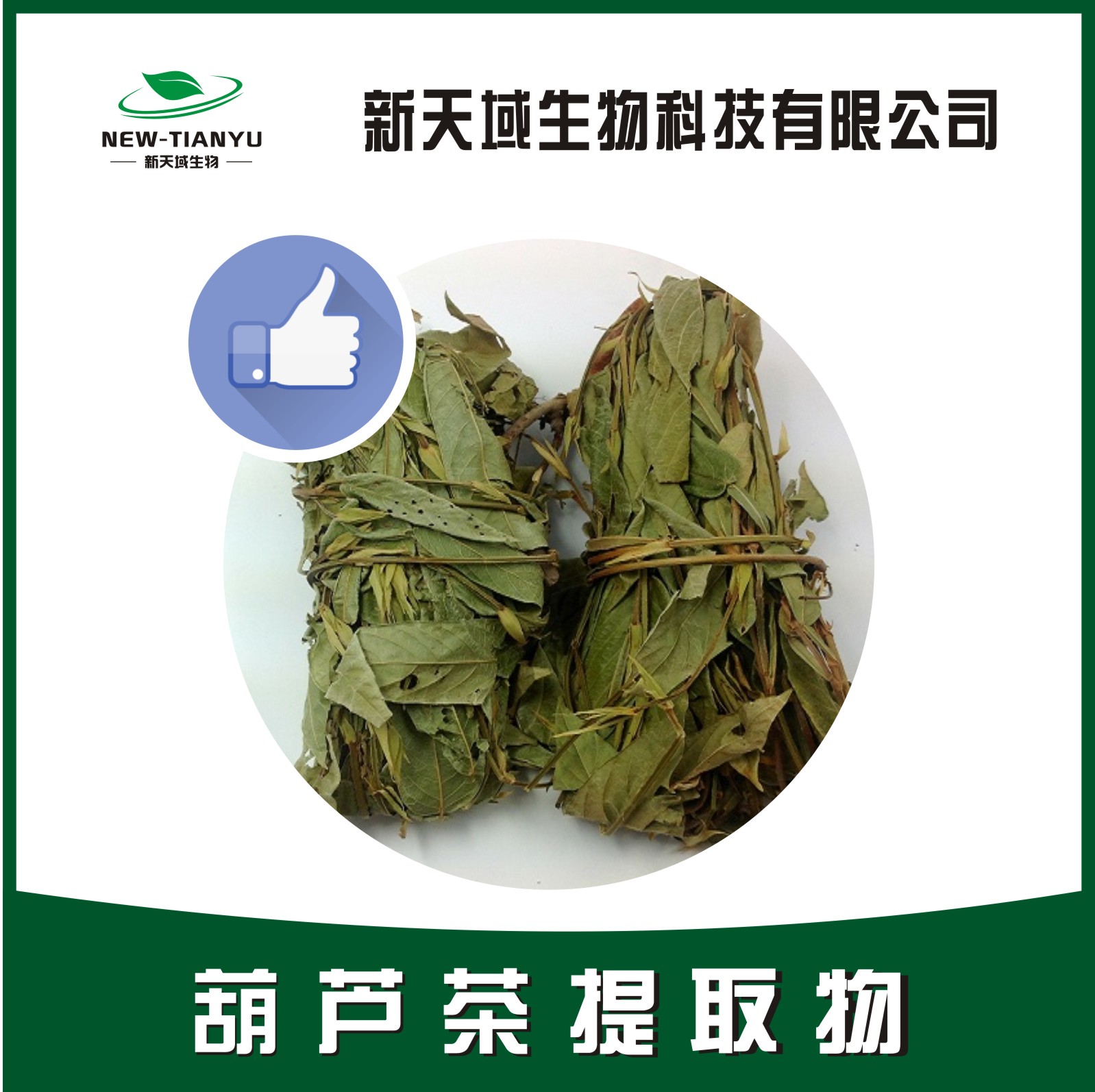 葫芦茶提取物,Herba Tadehagi Triquetri。