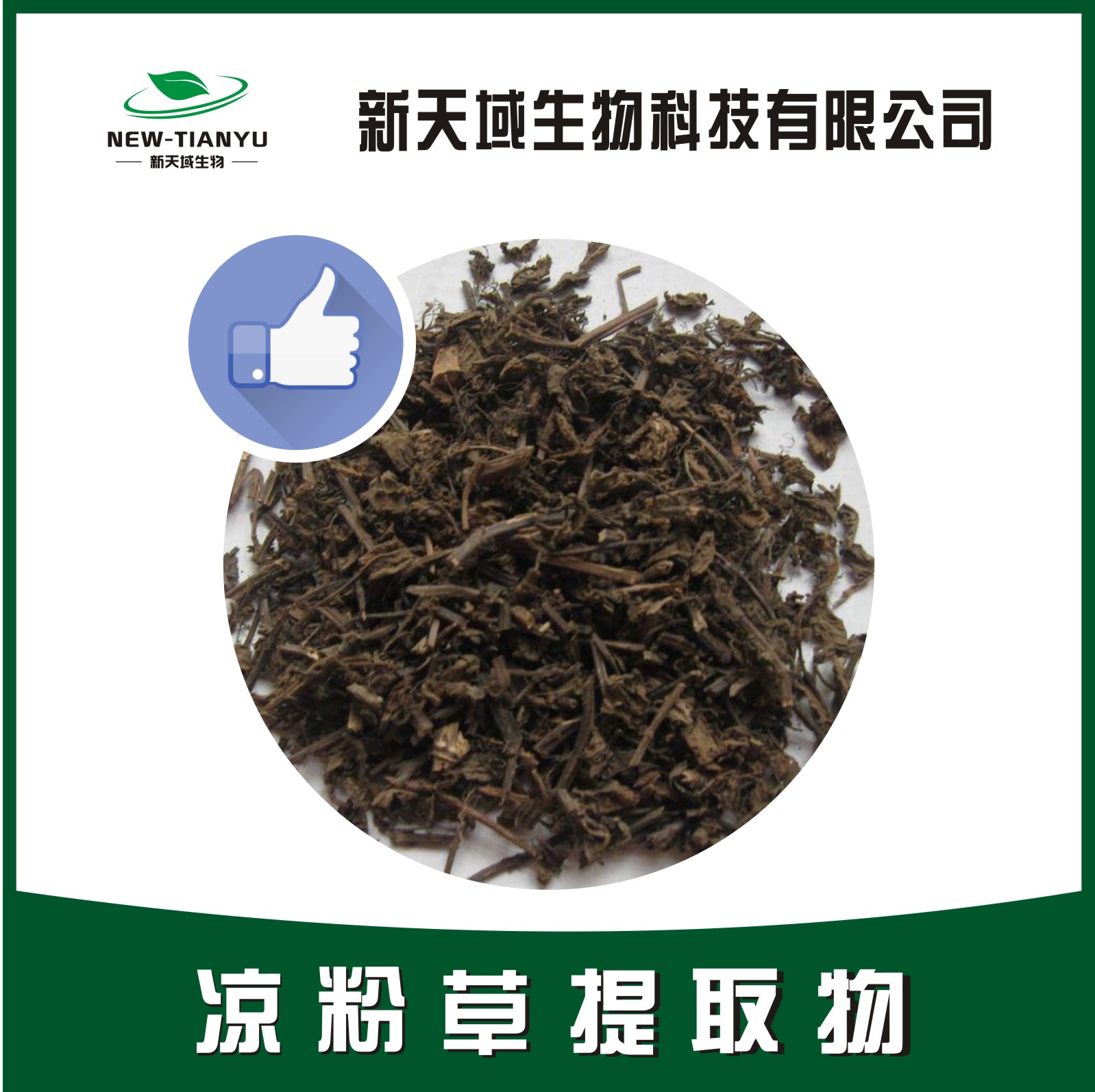 凉粉草提取物,Herba Mesonae