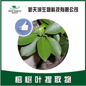 榕树叶提取物,Folium Fici Microcarpae。