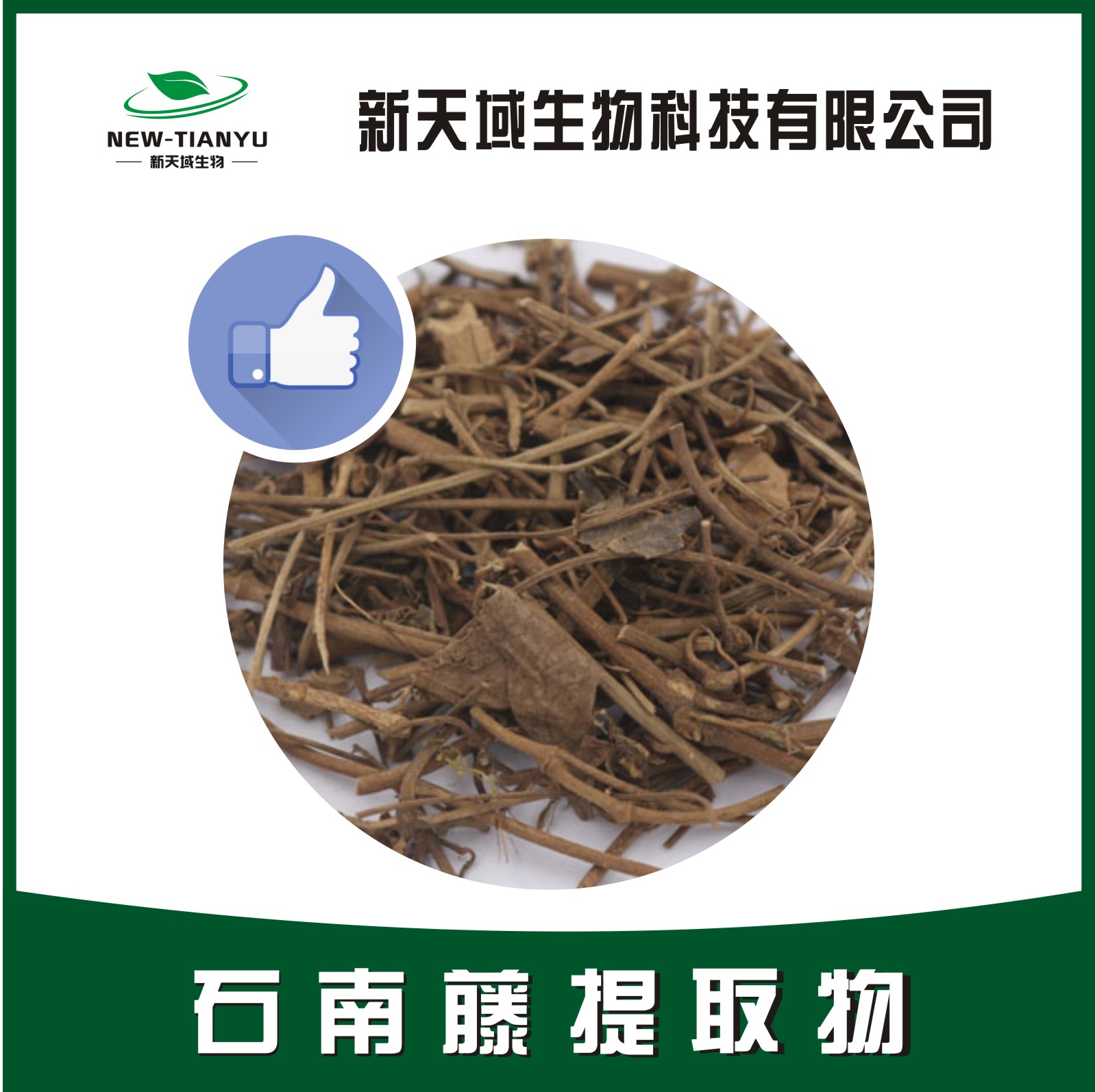 石上柏提取物,Herba Selaginellae Doederleinii。