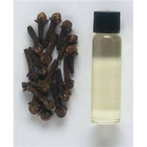 丁香油,Clove oil