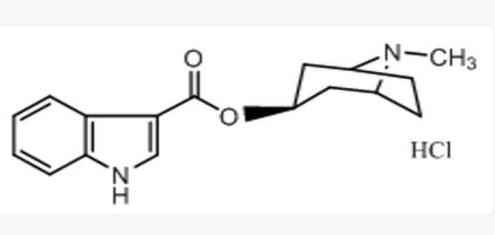 盐酸托烷司琼-β-异构体,Tropisetron