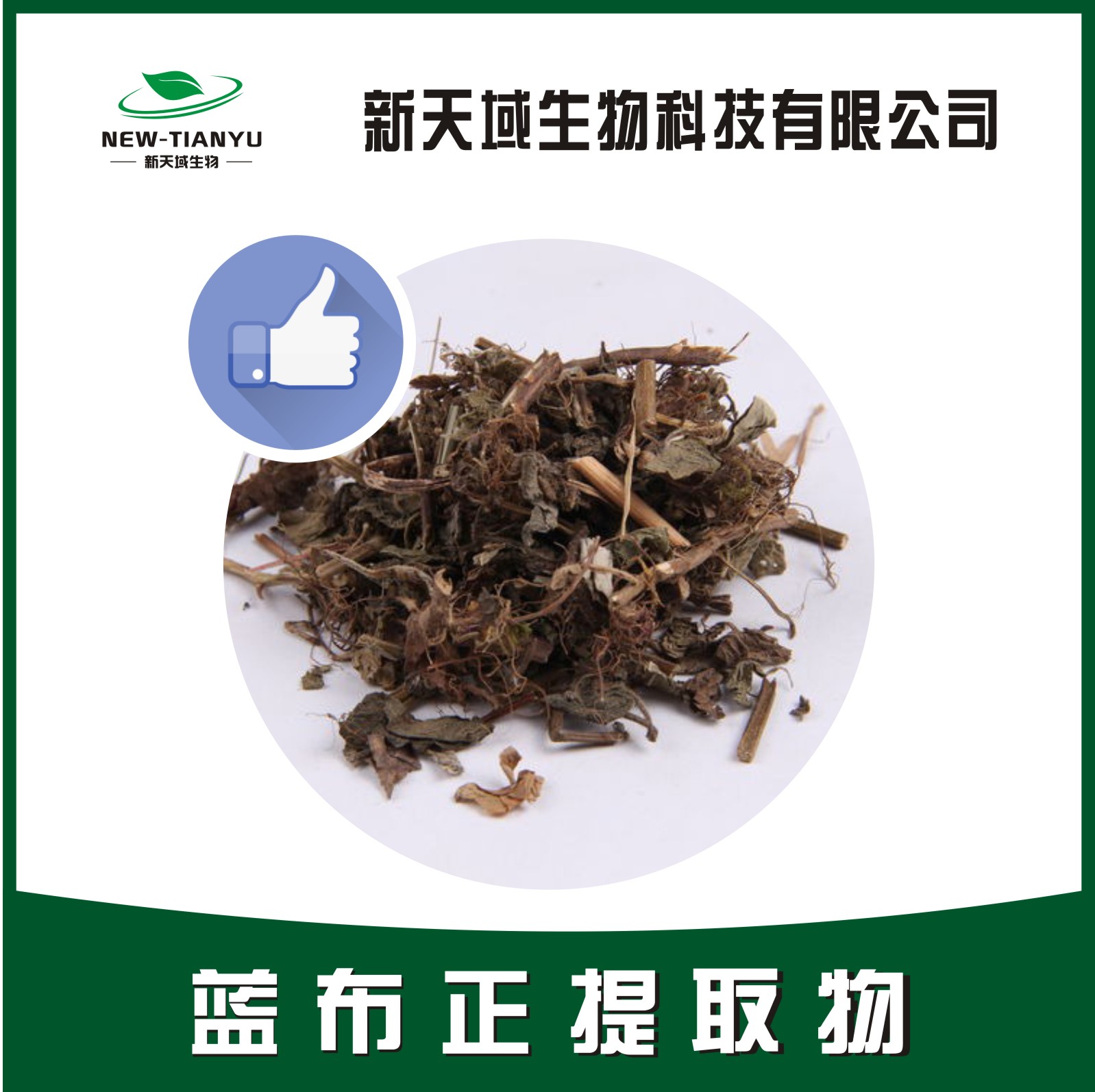 蓝布正提取物,Gei Herba。