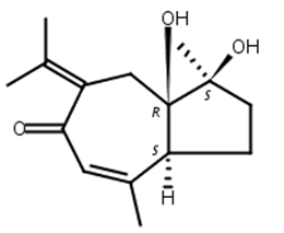 原莪術(shù)二醇,Procurcumadiol