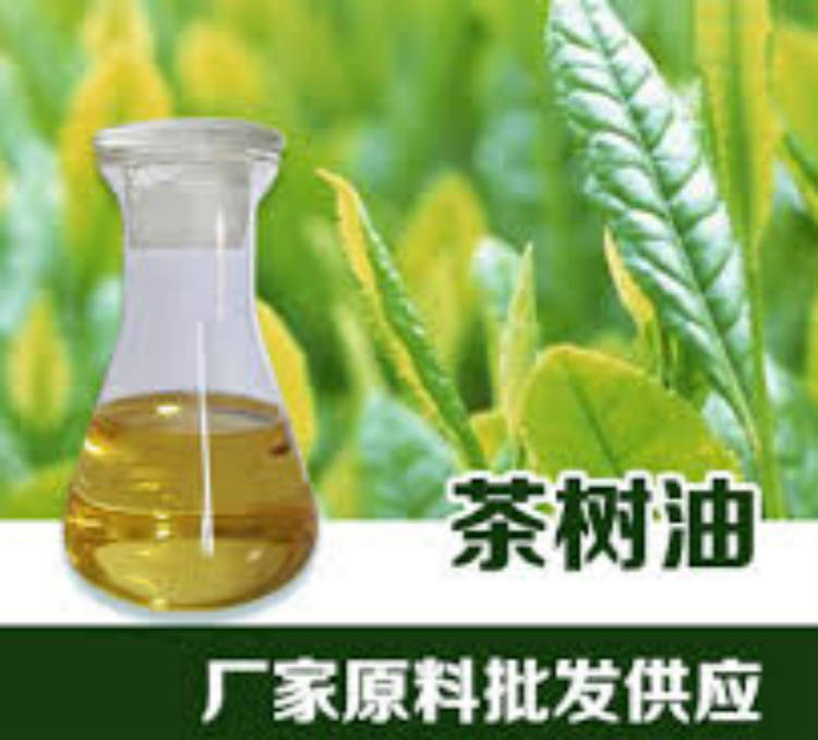 茶树油,Tea tree oil