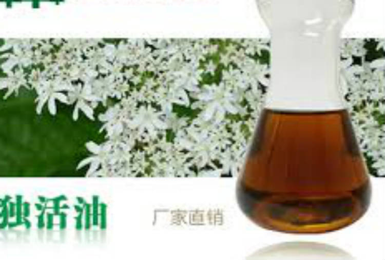 独活油,Lovage Oil