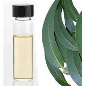 桉叶油,oil of eucalyptus