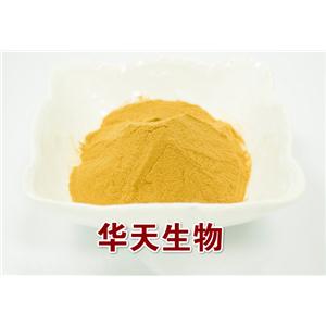 白茶提取物,White Tea Extract