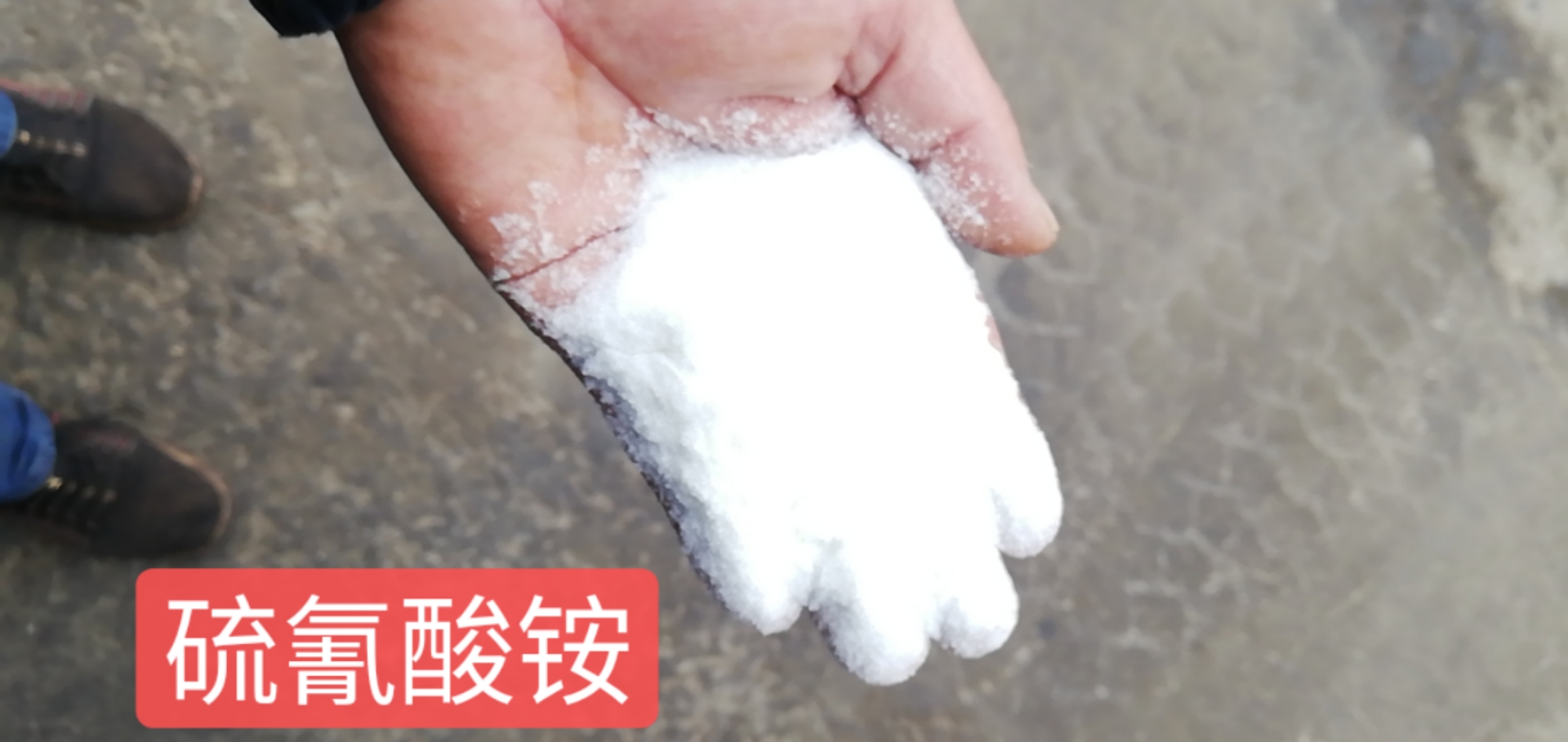 硫氰酸銨,Ammonium thiocyanate