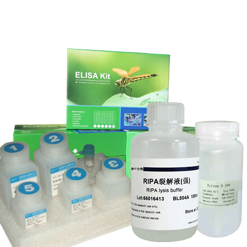 MTS细胞增殖与细胞毒性检测试剂盒,MTS Cell Proliferation And Cytotoxicity Detection Kit