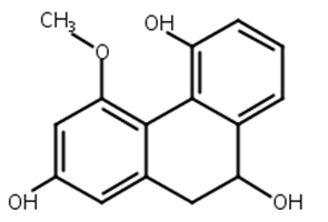 2,5,9-三羟基-4-甲氧基-9,10-二氢菲,Rotundatin