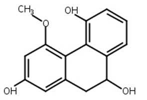 2,5,9-三羥基-4-甲氧基-9,10-二氫菲,Rotundatin