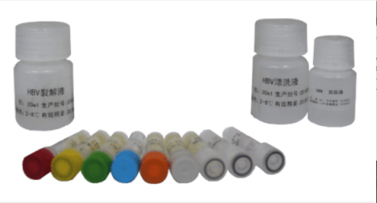 TUNEL細(xì)胞凋亡檢測試劑盒(顯色法),Colorimetric TUNEL Apoptosis Assay Kit