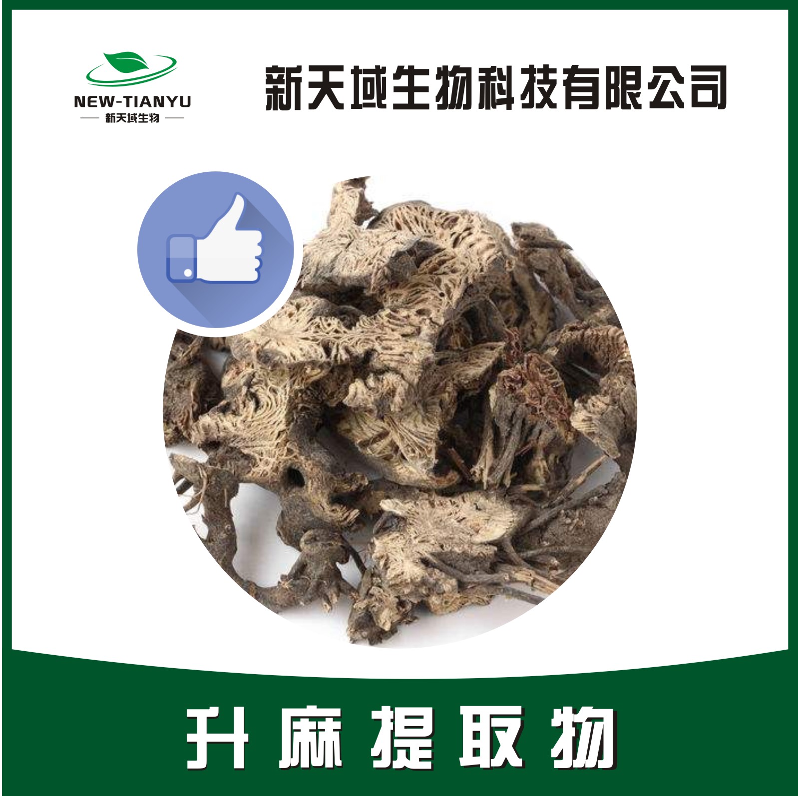 升麻提取物,Cimicifugae Rhizoma。