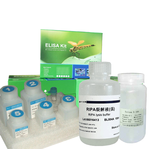 FITC-Brdu細(xì)胞增殖檢測(cè)試劑盒(ICF/FACS法),BrdU cell proliferation Detection Kit