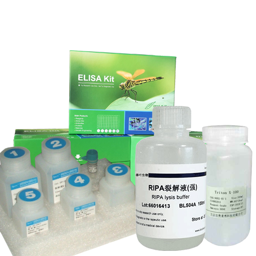 活细胞/死细胞双染试剂盒(Calcein-AM/PI),Living/Dead cell double staining kit
