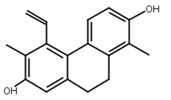 灯心草酚,Juncusol