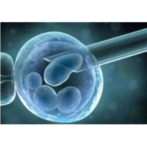 细胞增殖及细胞毒性检测试剂盒(WST-1法)
