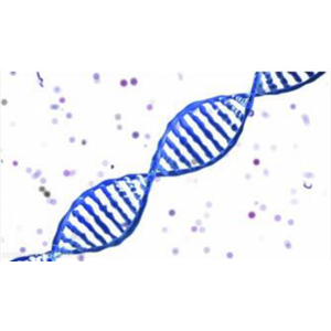Alarma Blue细胞增殖及细胞毒性检测试剂盒