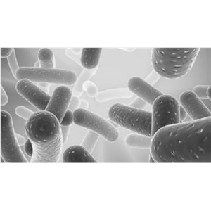 体内巨噬细胞清除剂(阴离子氯氟松),Clophosome-A-Clodronate Liposomes (Anionic)