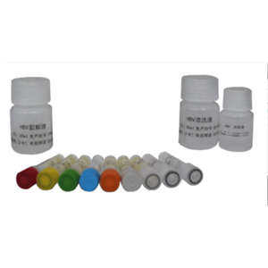 活性氧检测试剂盒(DHR荧光探针法)