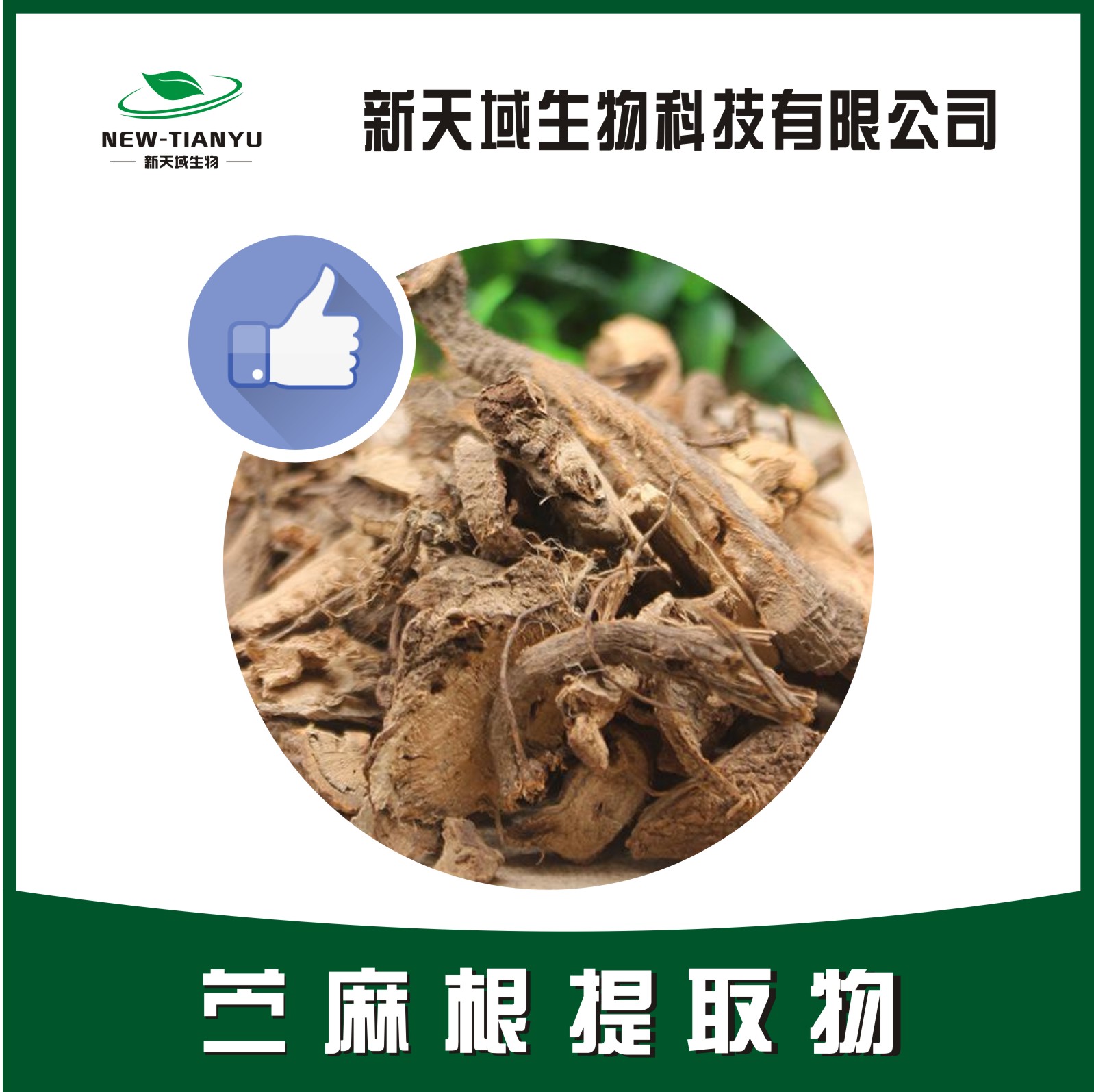 苎麻根提取物,Rhizoma Et Radix Boehmeriae