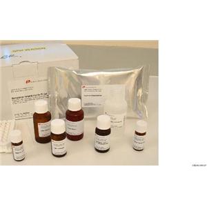 人结缔组织活化肽Ⅲ(CTAPⅢ)ELISA试剂盒