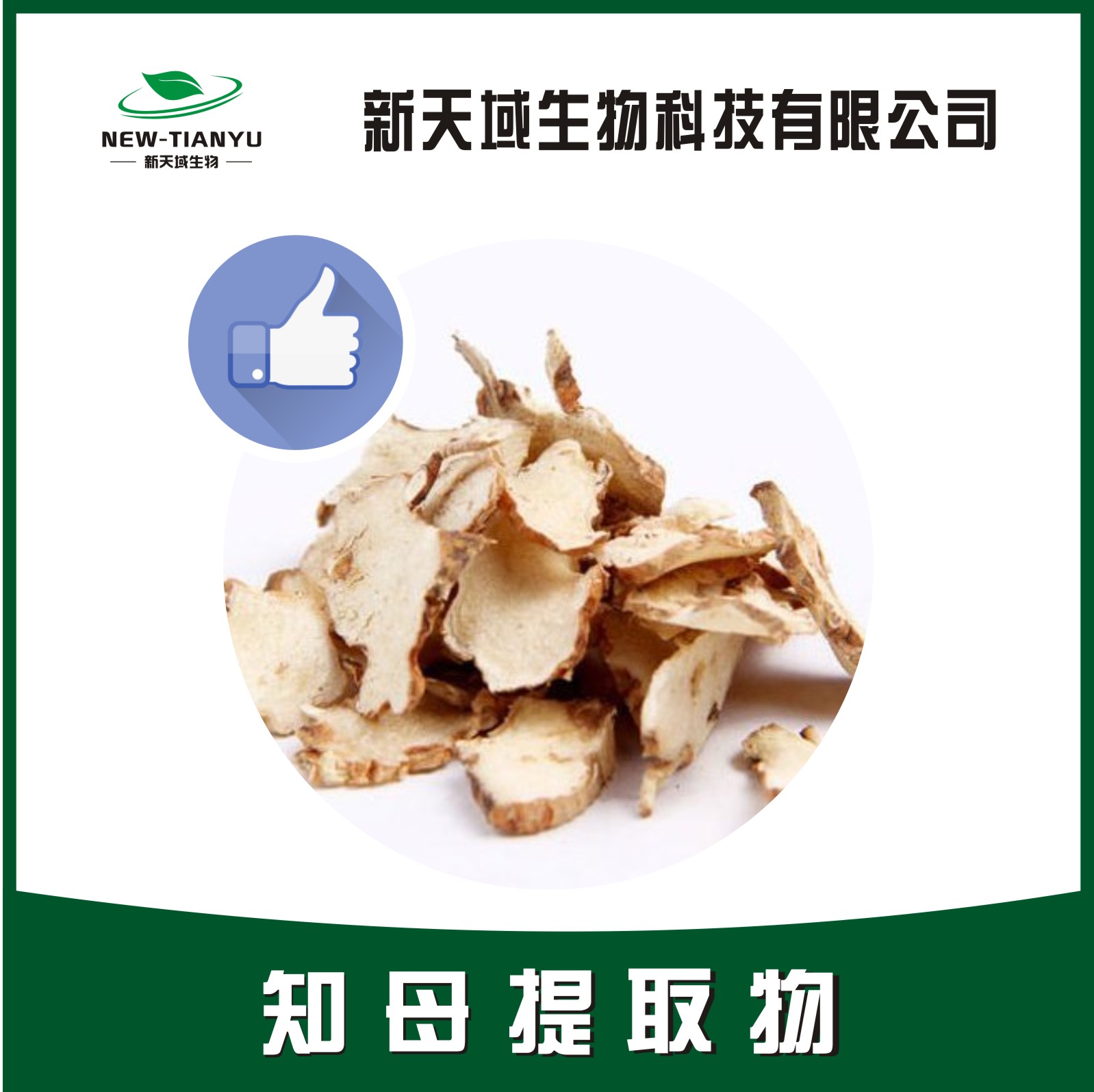 知母提取物,Anemarrhenae Rhizoma。