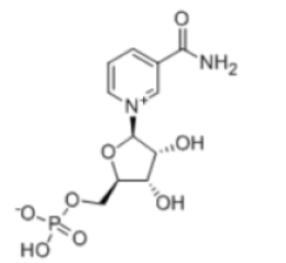 β-烟酰胺单核苷酸-烟酰胺单核苷酸,β-Nicotinamide Mononucleotide