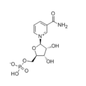 β-烟酰胺单核苷酸-烟酰胺单核苷酸