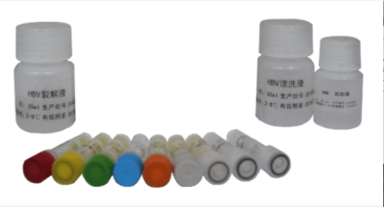 转录抑制剂和轴蛋白稳定剂(XAV-939),XAV-939