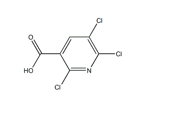 2,5,6-三氯烟酸