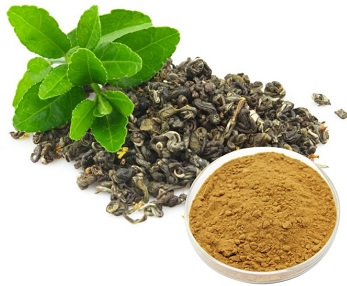 绿茶提取物,Green Tea Extract