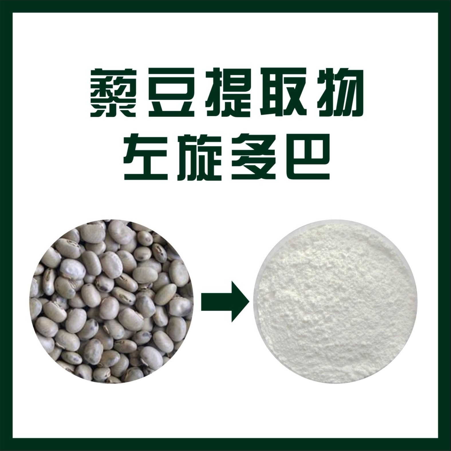 藜豆提取物,Levodopa