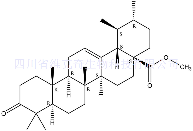 3-Keto-熊果酸-28-甲酯