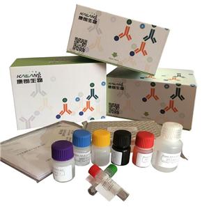 人白细胞介素19酶联免疫试剂盒,Human IL-19 ELISA KIT