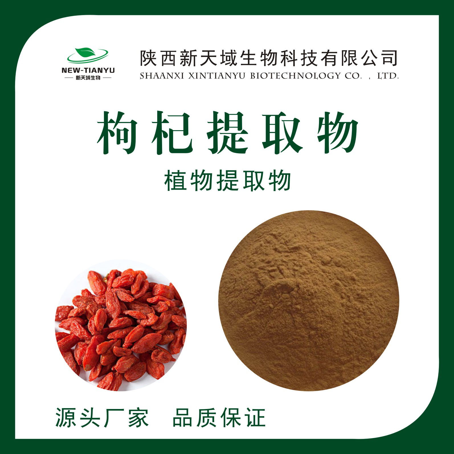 枸杞提取物,Wolfberry Extract