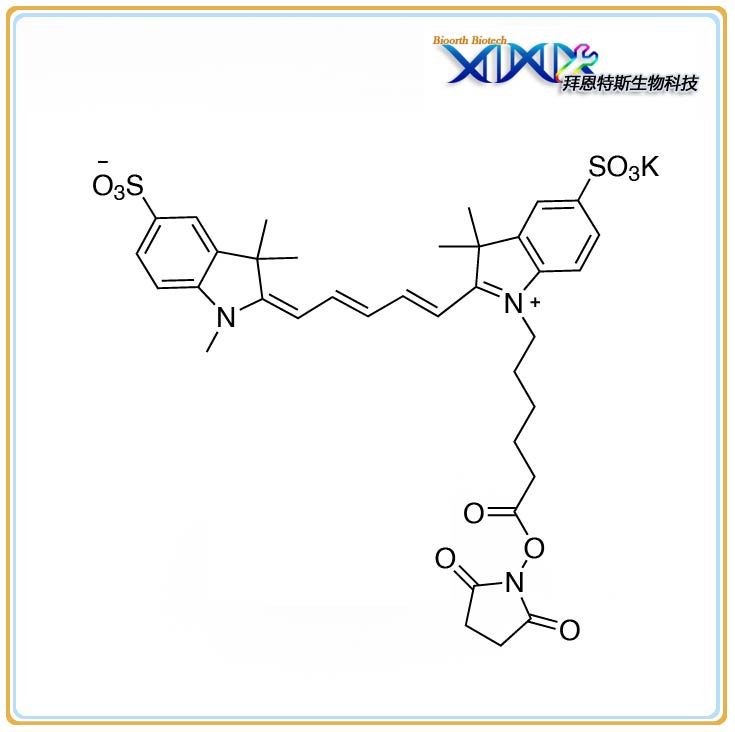 Sulfo-Cy5 NHS Methyl type| Lumiprobe 同款,Sulfo-Cy5 NHS Methyl type | Lumiprobe type