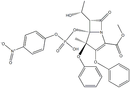 蛋白酶 K,Proteinase K