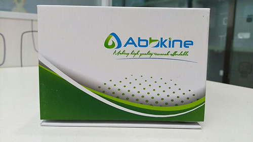 蛋白质羰基含量检测试剂盒,CheKine? Protein Carbonyl Colorimetric Assay Kit