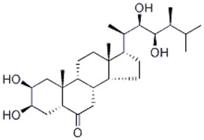 油菜素甾酮,CASTASTERONE (CS)